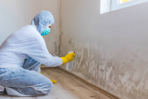 Licensed Mold Cleanup service in Wake, VA - WQB Mold Removal
