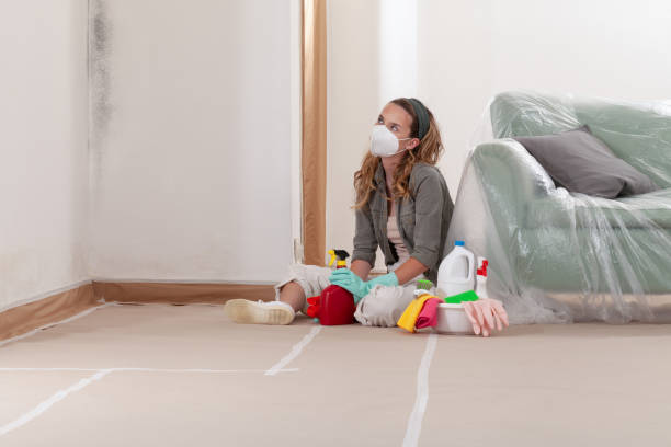 Reliable Mold Cleanup contractor in Wake, VA by WQB Mold Removal
